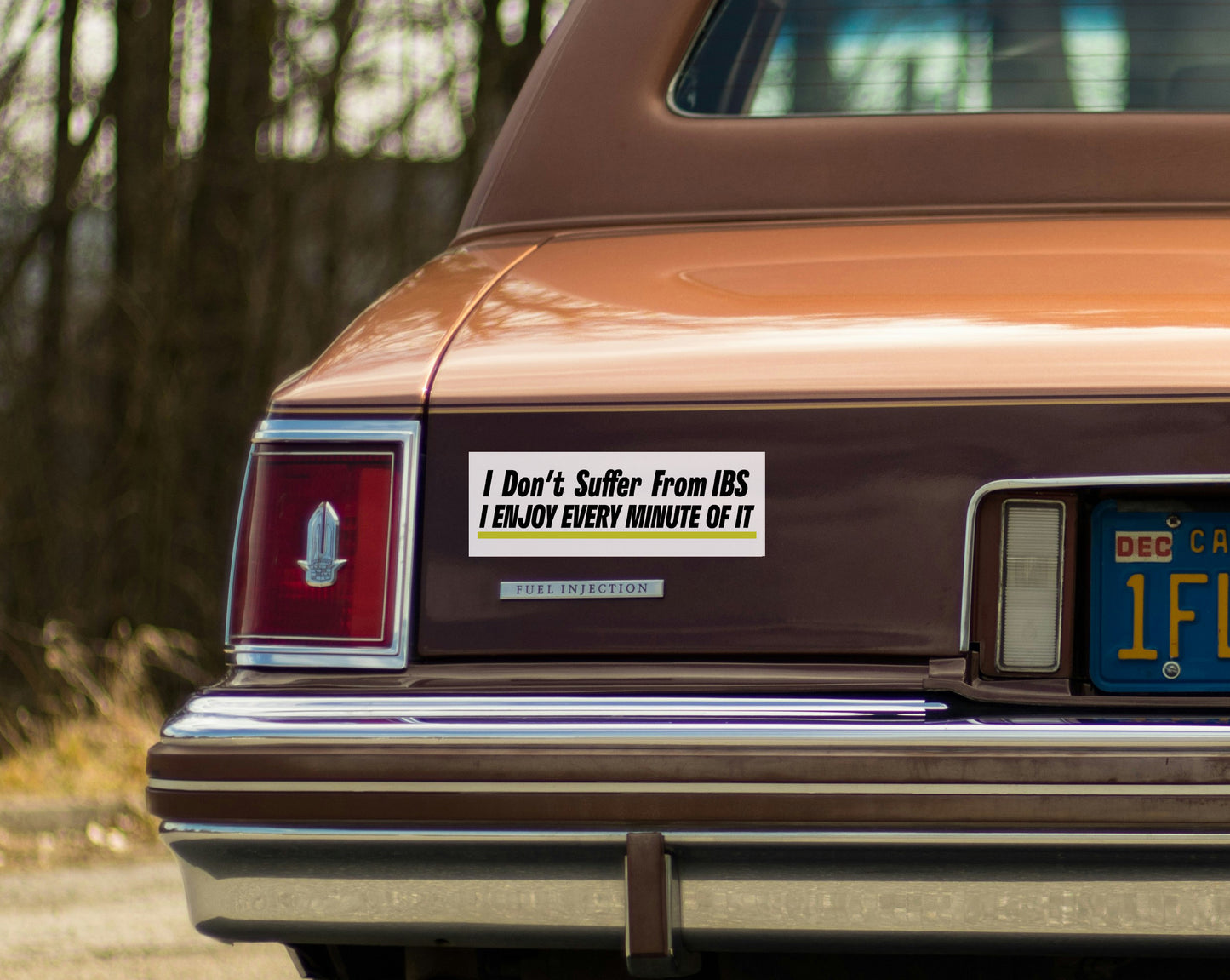 Car with a humorous bumper sticker on the back