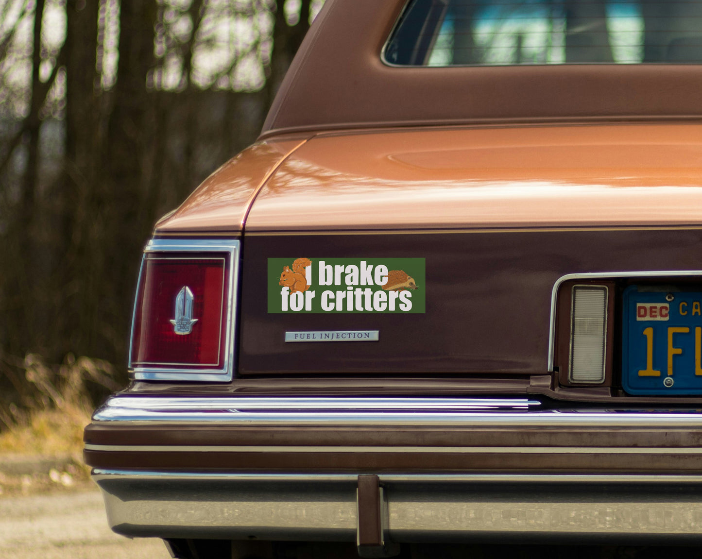 I Brake For Critters Bumper Sticker