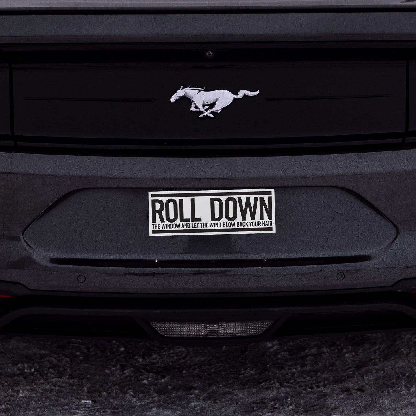 Bruce Springsteen "Thunder Road" Lyric Sticker