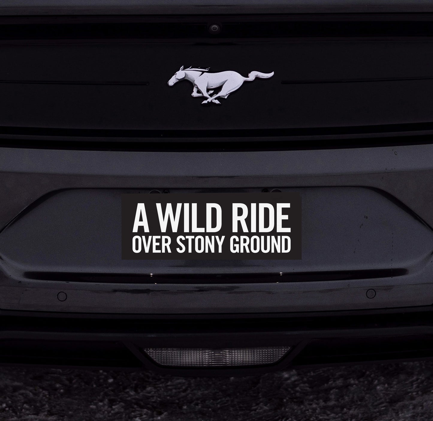 Def Leppard "Animal" Lyric Sticker