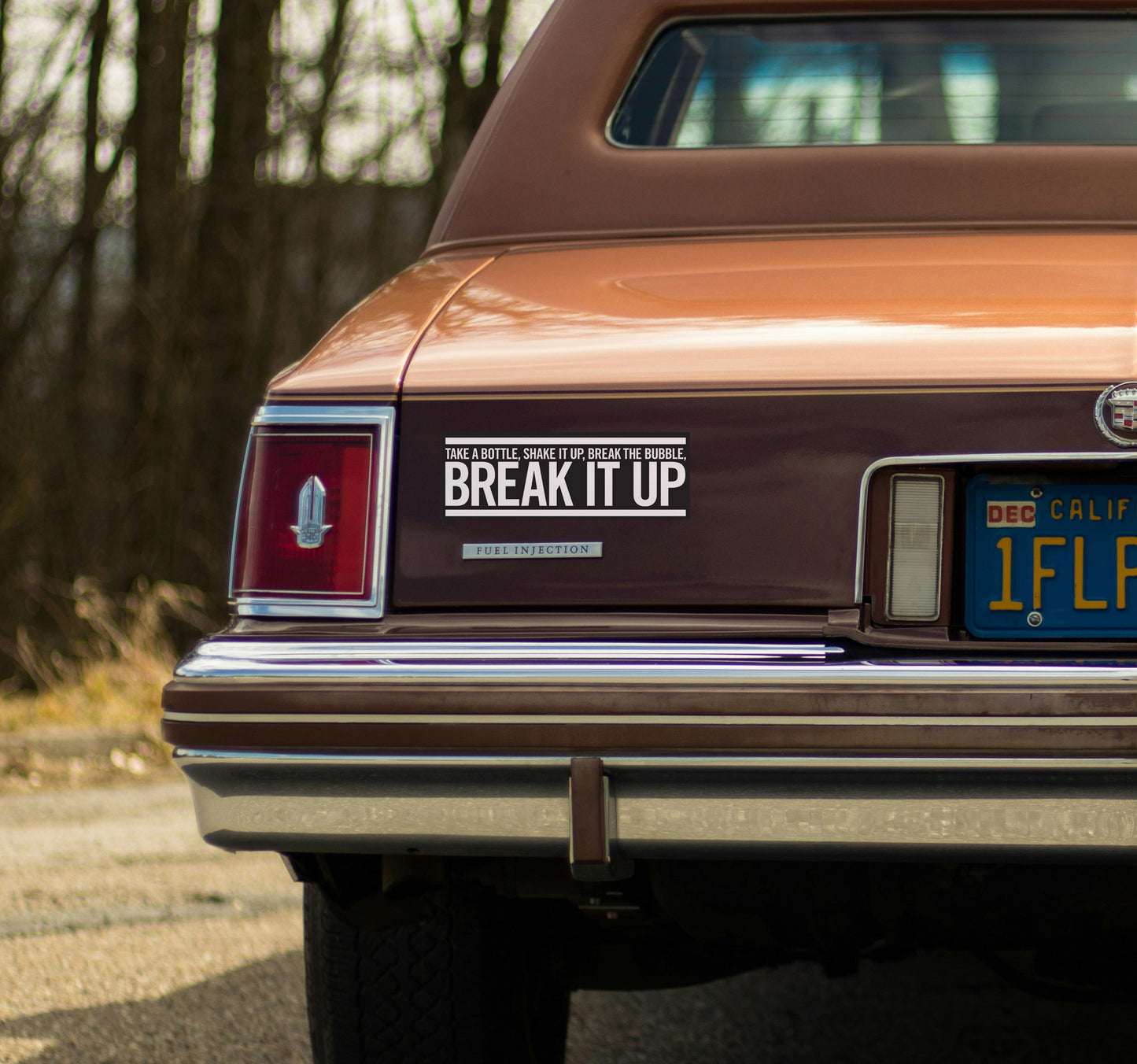 Def Leppard "Pour Some Sugar On Me" Lyric Bumper Sticker