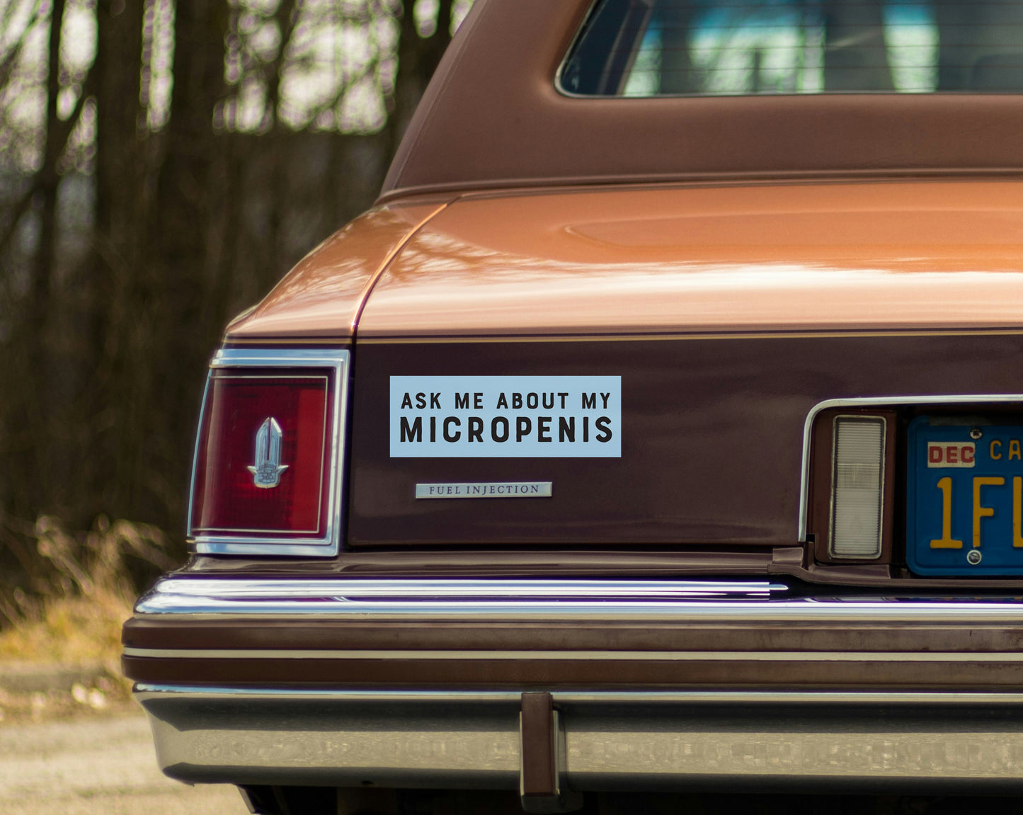 Ask Me About My Micropenis Bumper Sticker