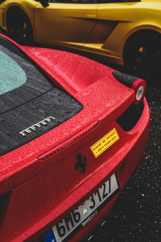 Please Be Patient, I am 9 Years Old Bumper Magnet