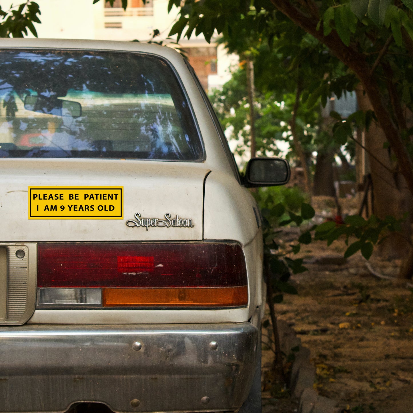 Please Be Patient, I am 9 Years Old Bumper Magnet