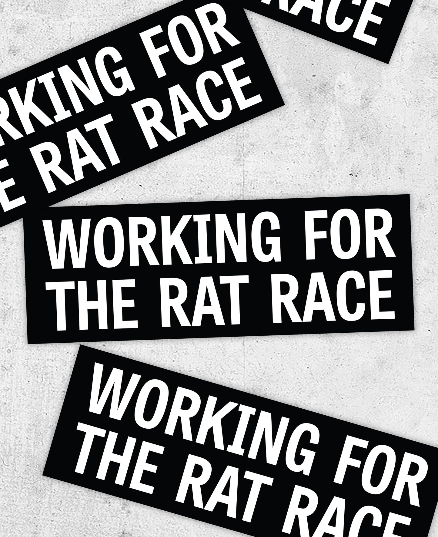 The Specials 'Working For the Rat Race' Lyric Sticker