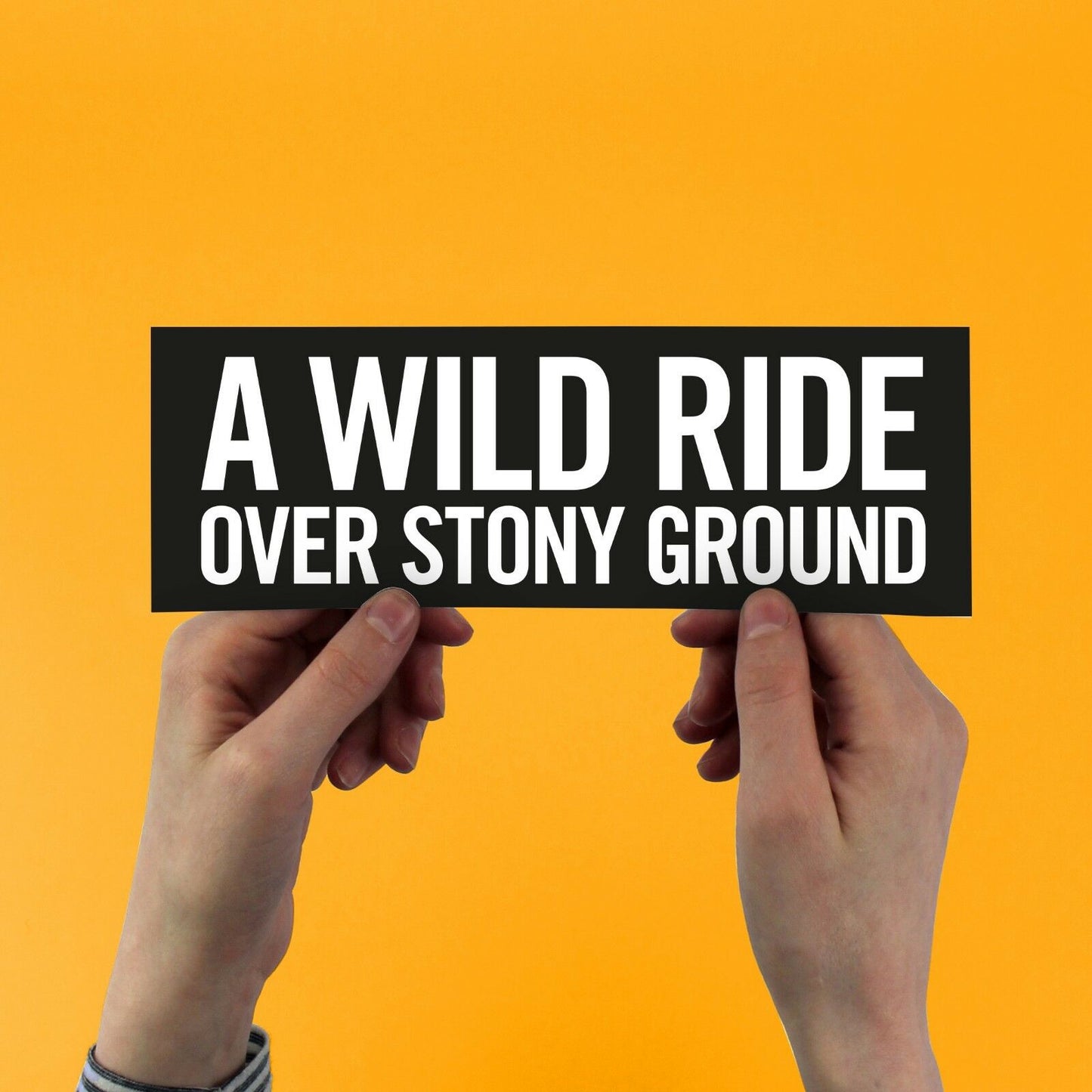 Def Leppard "Animal" Lyric Bumper Sticker