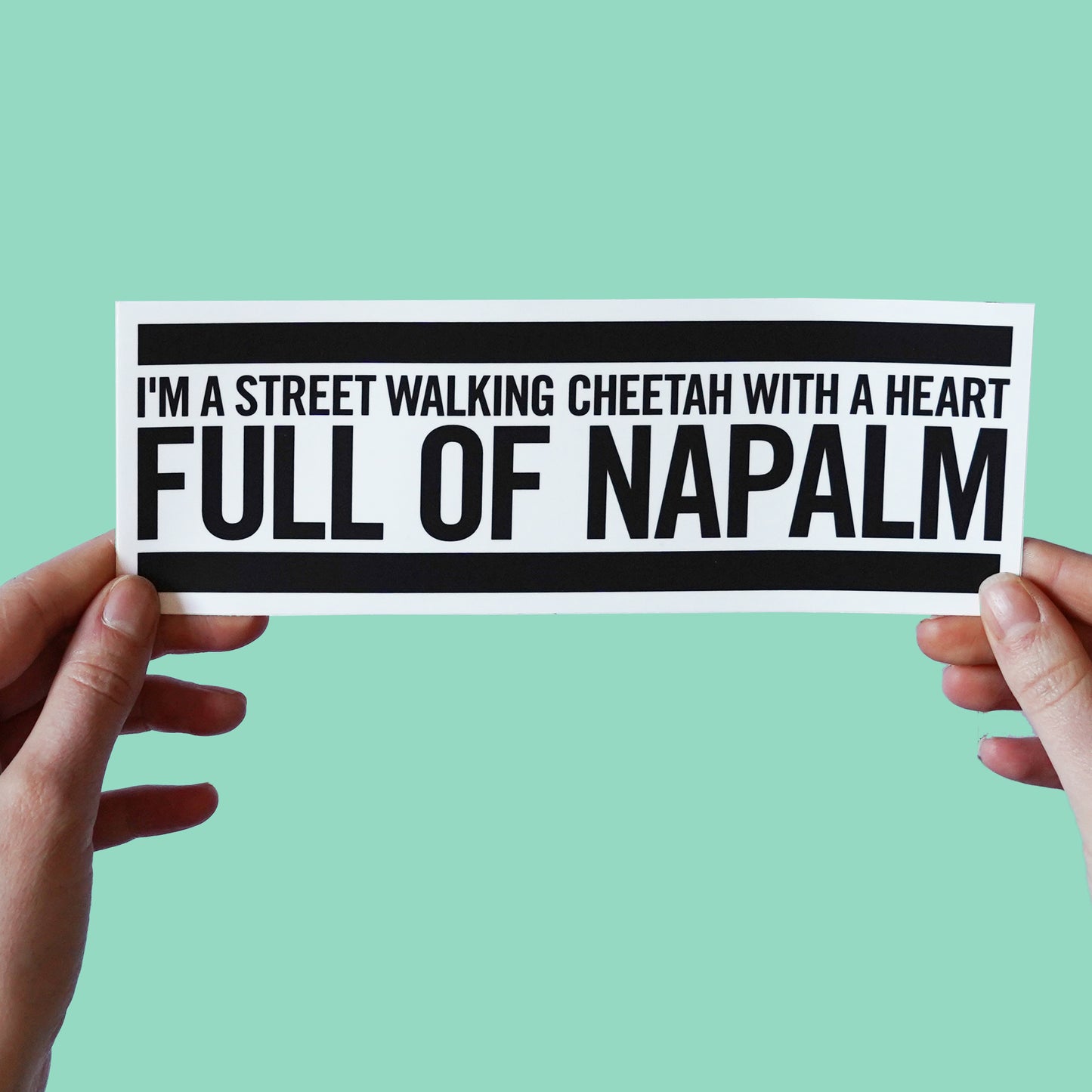 The Stooges "Search and Destroy" Lyric Sticker