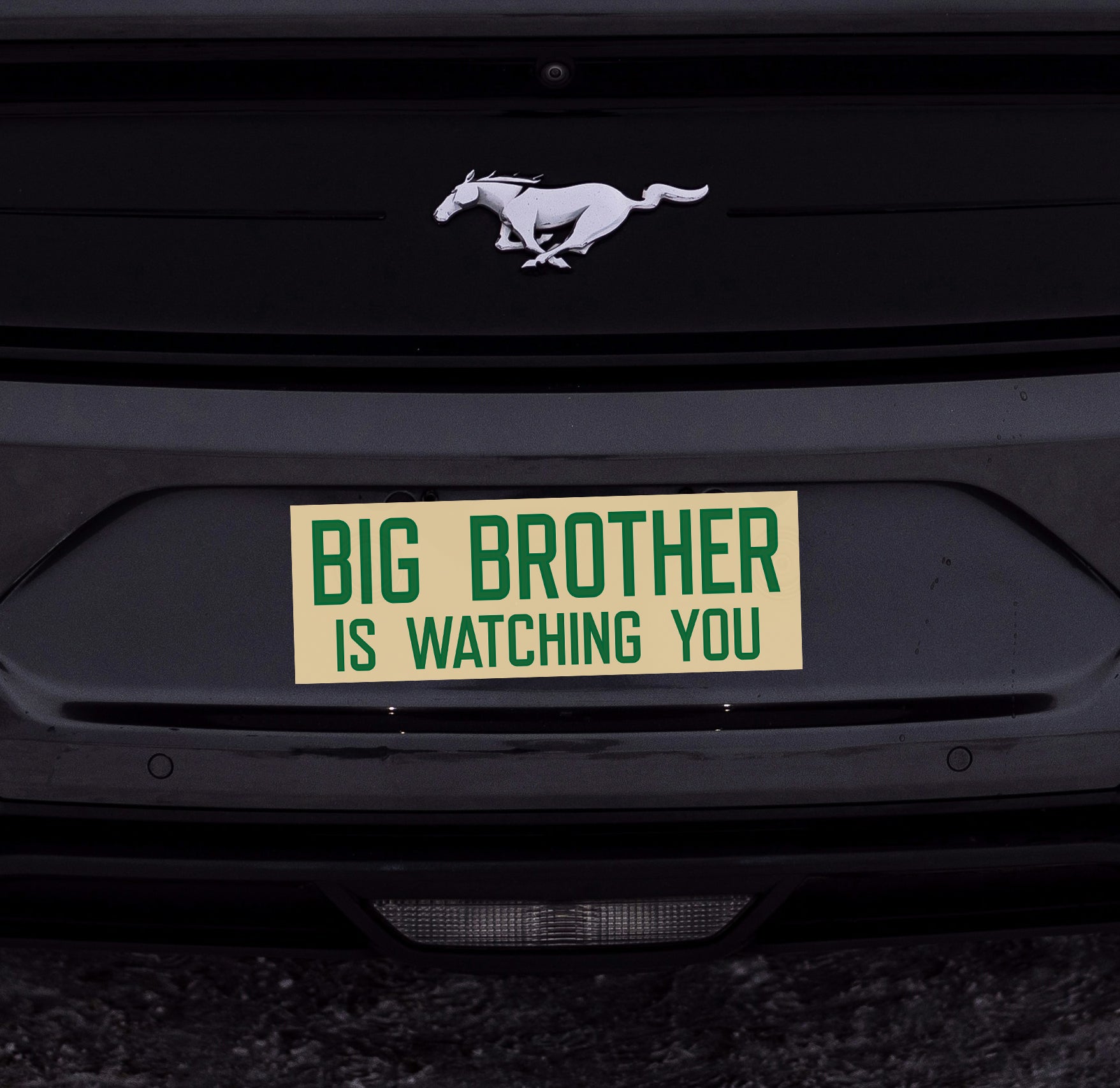 Big Brother is Watching You Sticker