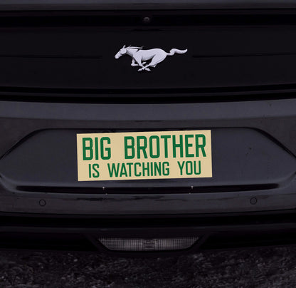 Big Brother is Watching You Sticker
