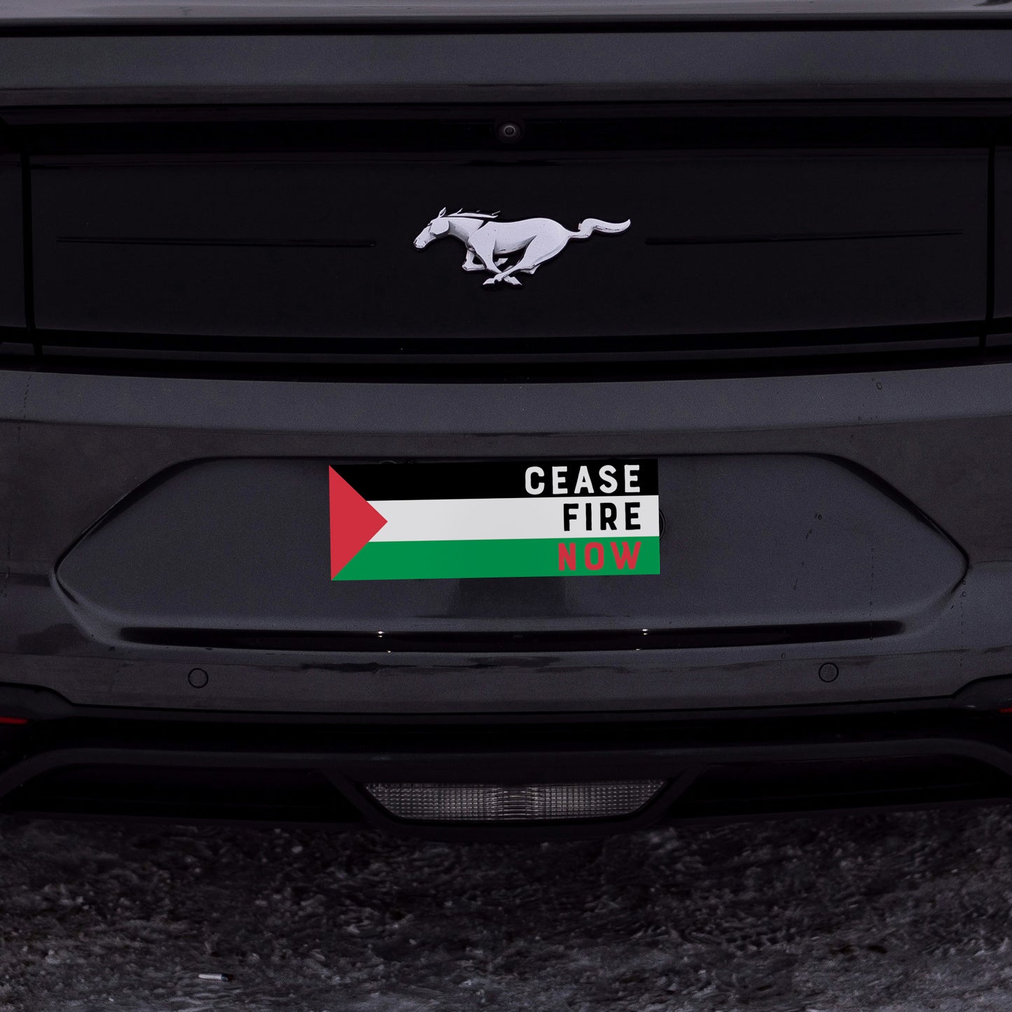 Cease Fire Now Sticker, Palestine Bumper Sticker