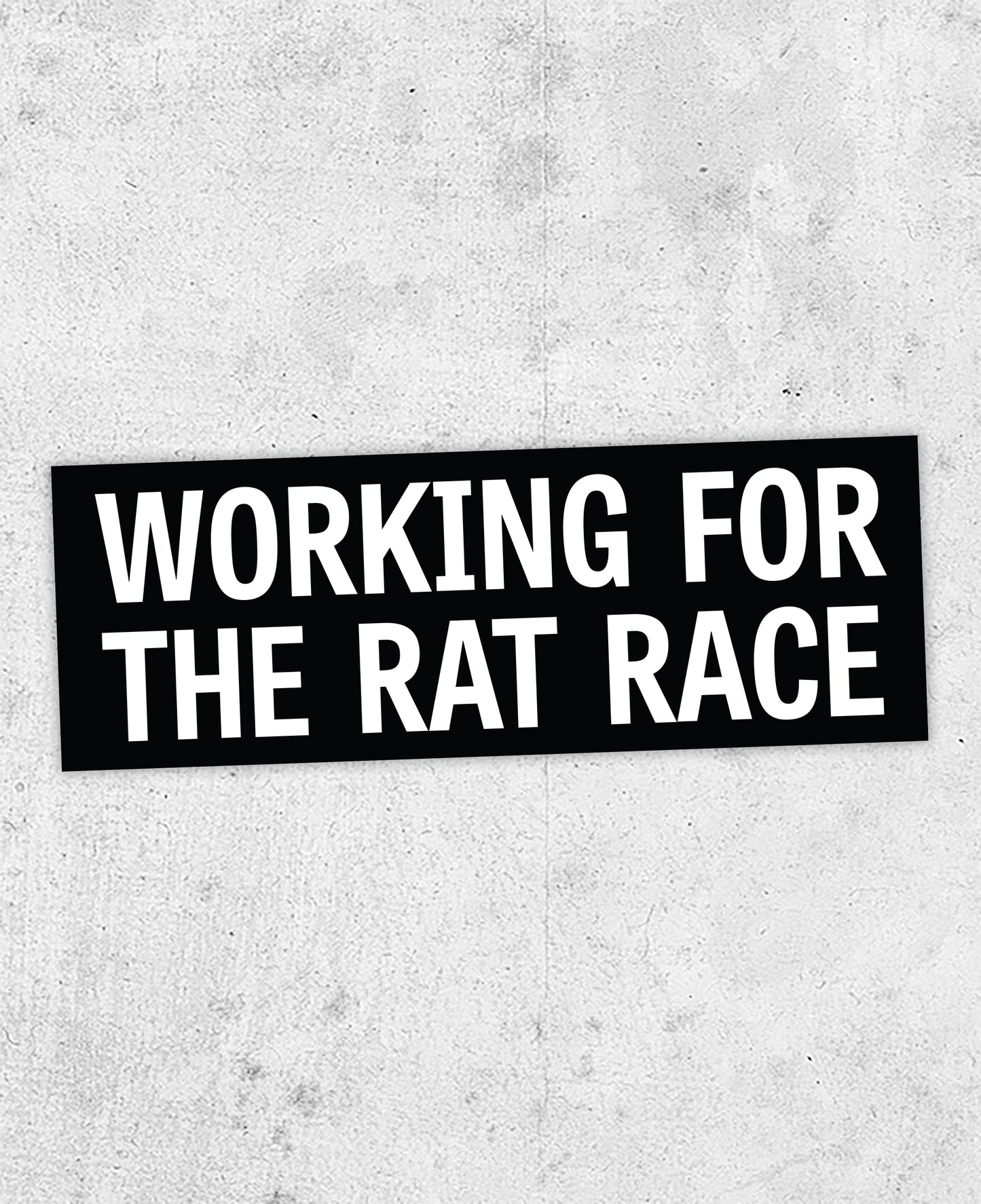 The Specials  'Working For the Rat Race' Lyric Sticker