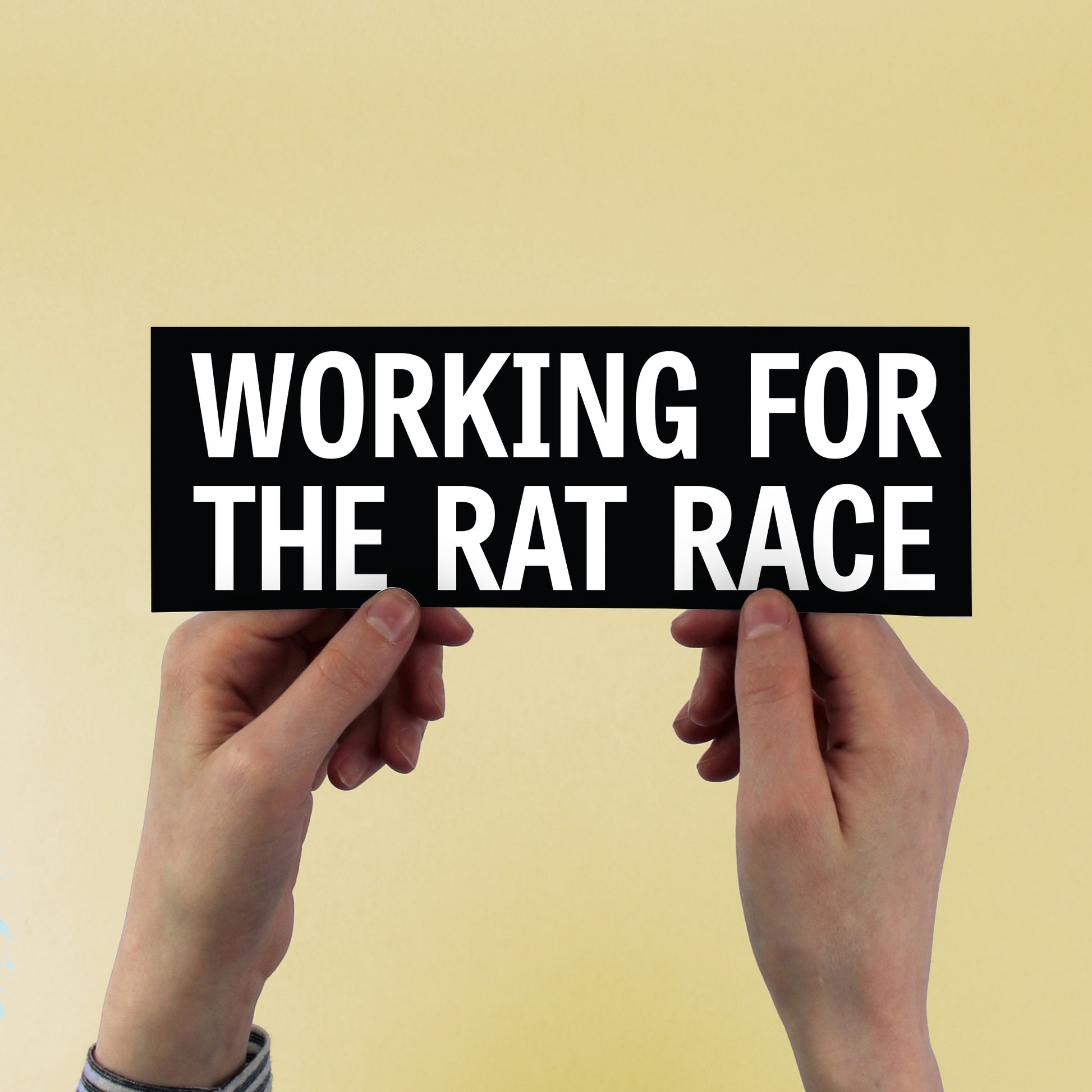 The Specials  'Working For the Rat Race' Lyric Sticker