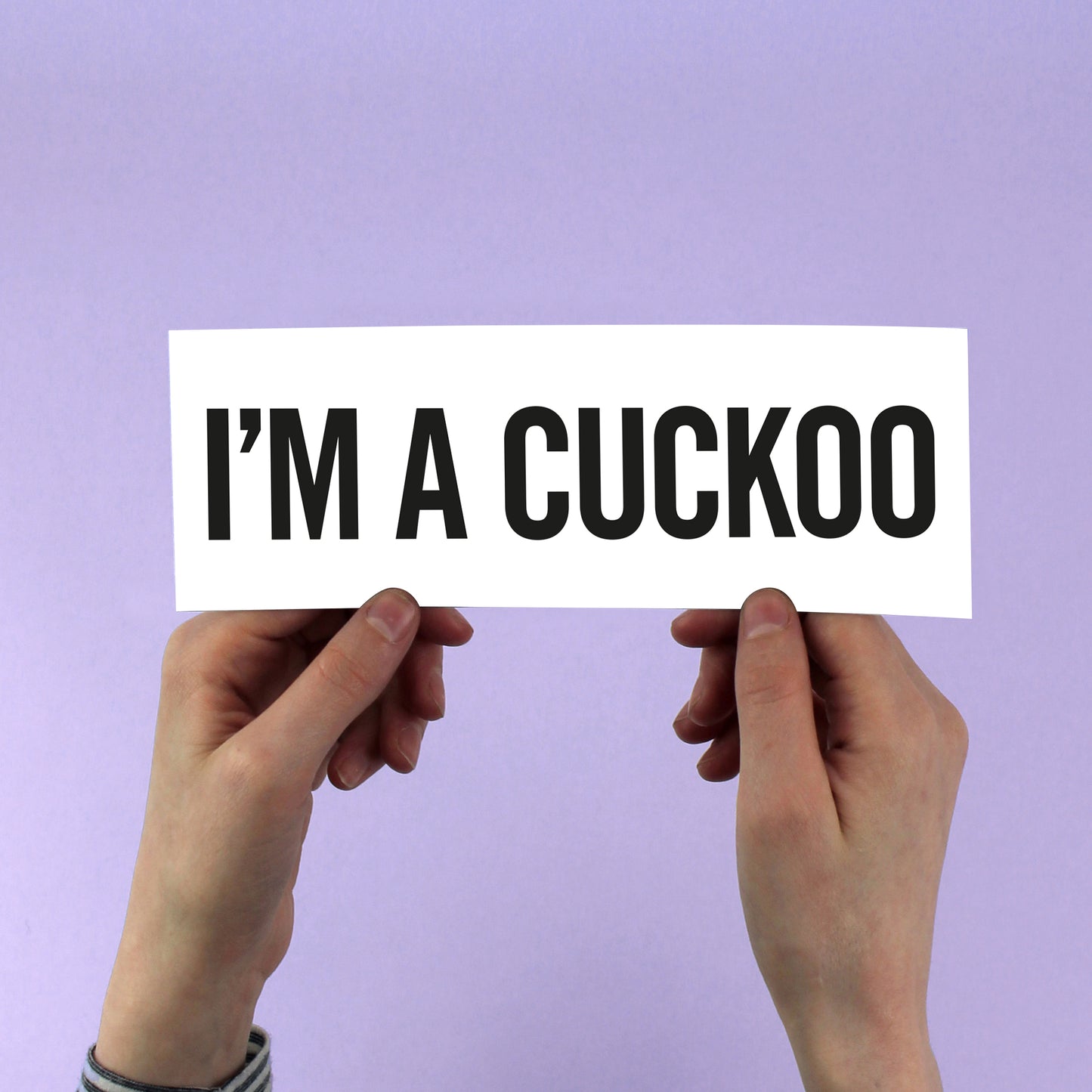 Belle & Sebastian "I’m A Cuckoo" Lyric Bumper Sticker