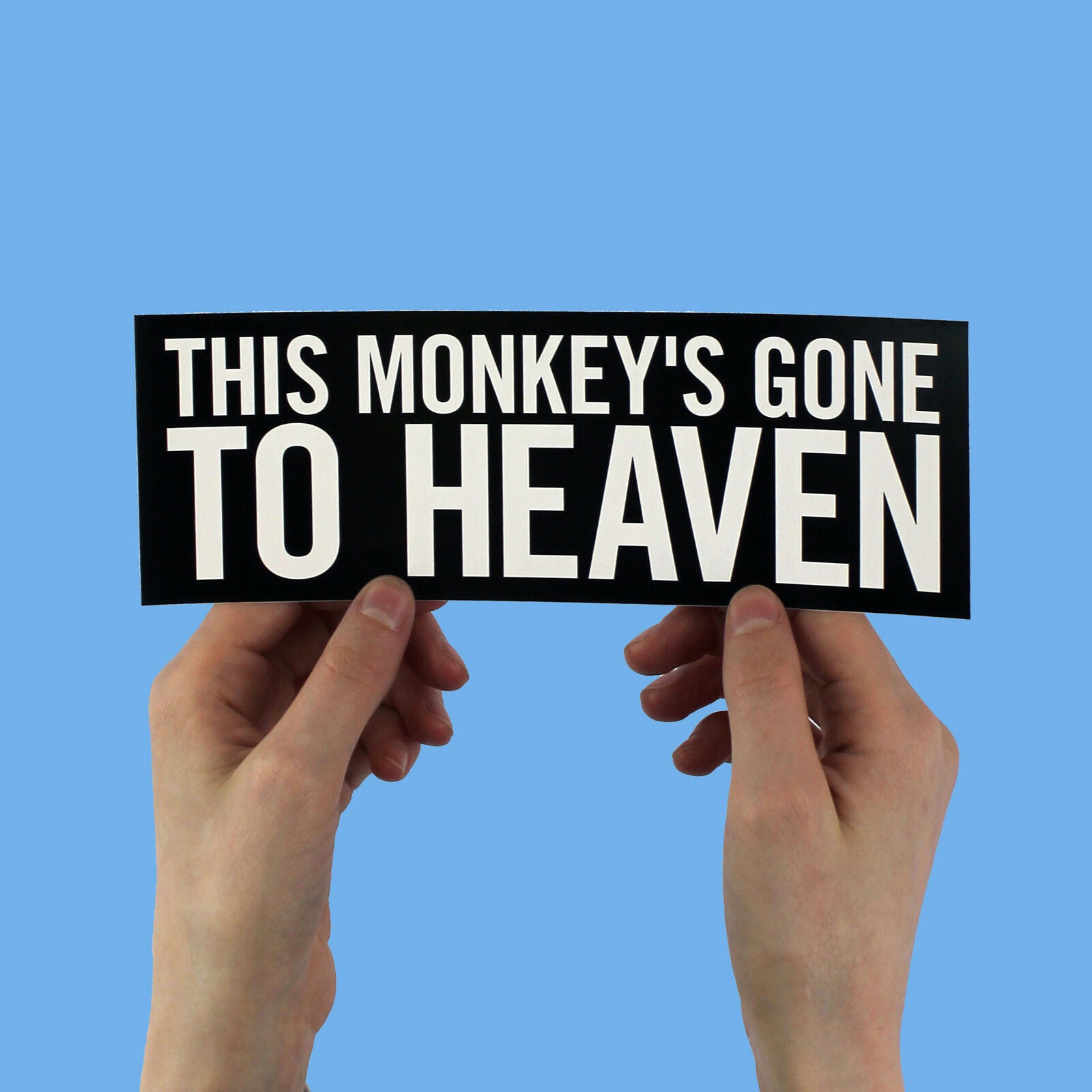 The Pixies "Monkey Gone to Heaven" Lyric Sticker