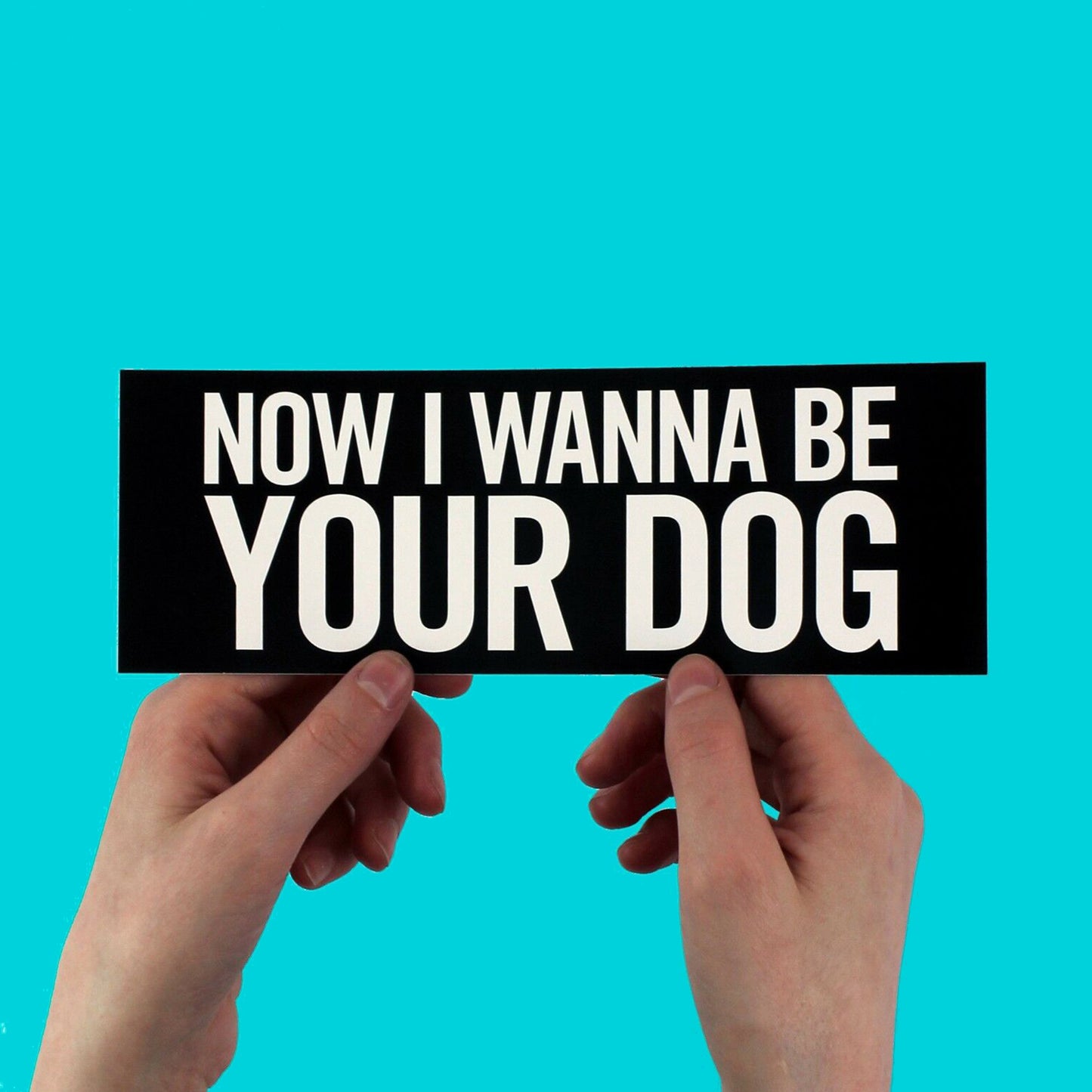 The Stooges "I Wanna Be Your Dog" Lyric Sticker